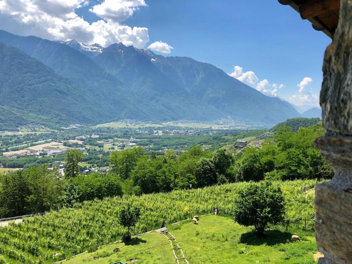 Agriturismo Cavria Castione Andevenno Εξωτερικό φωτογραφία